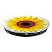 Sunflower Decor Girasol yellow Sun Flower White Background PopSockets Adhesive PopGrip