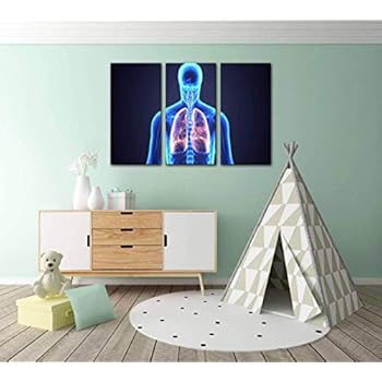 3d illustration human body lungs human body part kidney s and Print Painting 3 Panel Home Decoration Paintings Wall Art Framework Canvas Prints Gallery for Living Room Wall Poster Hang Framed