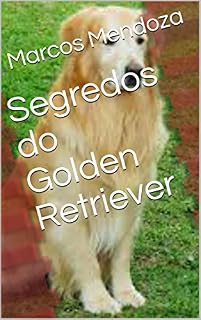 Livro Segredos do Golden Retriever