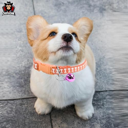 Chipmonk Cat & Puppy Collar with Bell,Kitten & Small Dogs Soft Adjustable,Safe,Solid & Protective Breakaway for Cats & Puppies,Cute Kitty Neckband with Multi Bones Print-(Orange) 3