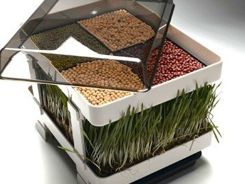image for Lexen Healthy Sprouter - Wheatgrass Grower, Grow Your Own Sprouts and 