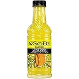 SOBE Elixir, Citrus Energy, 20 Ounce Bottle (Pack of 12)