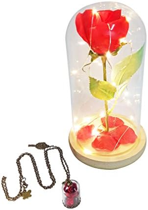 eSay Rose Dome, LED Light, Beauty and the Beast, Rose Led Night Light, Valentine Gift Necklace