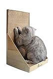 Pawmosa Cat Scratcher, Vertical Cardboard Cats Scratching Post, Lounge Bed as Furniture Protector and Home D&eacute;cor Include Free Catnip (Honey)