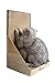 Pawmosa Cat Scratcher, Vertical Cardboard Cats Scratching Post, Lounge Bed as Furniture Protector and Home D&eacute;cor Include Free Catnip (Honey) primary