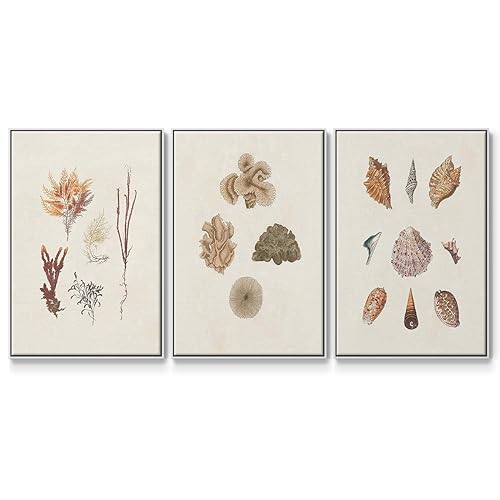 Renditions Gallery Canvas 3 Piece Wall Art White Floater Framed Aquatic Knorr S…