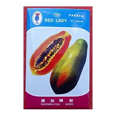 Seed Red Lady 786 F1 Hybrid Papaya 250 Seed Seed 250 Per Packet