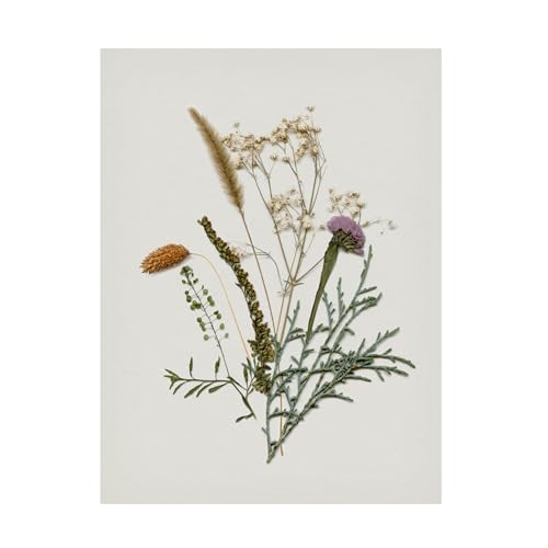 Trademark Fine Art Canvas Wall Art - Victoria Barnes 'Pressed Autumn Blooms II'…