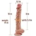 SHEQU Realistic Dildo with Suction Cup, 10 Inch Silicone Dildo for Women, Dong with Balls Fake Penis Adult Sex Toys Female Massage Masturbation Vaginal G-spot and Anal Play