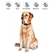 Balight Citronella Spray Bark Collar for Dogs,Stop Barking Collar for Dogs Small Medium Large, Rechargeable Adjustable Waterproof, No Shock, Harmless & Humanethumb 1