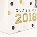 Hallmark Class of 2018 Medium Gift Bag with Tissue