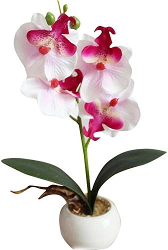 Artificial Flowers With Vase, RIUDA Four Butterfly Orchid Meaty Plant Bonsai Creative Flower Arranging Accessories (White)