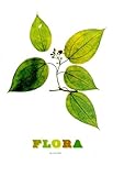 Flora by 