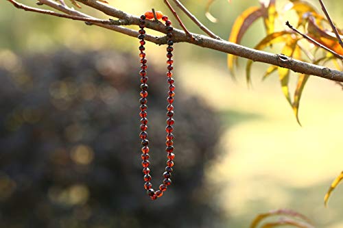 Raw Baltic Amber Teething Necklace for Babies - (Cognac) Anti-Flammatory, Drooling. Relief Teething Pain. Free Baby Teether Toy, Best Shower Gift for Your Baby, Boys & Girls On Christmas…