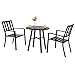 PHI VILLA Outdoor Patio Metal 3 Piece Dining Bistro Furniture Set with 2 x Chair,1 x Table