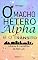 Livro O macho hétero alfa e o trânsito: crônicas & memórias de São Luís