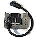FitBest New Ignition Coil/Solid State Module for Tecumseh 34443A 34443B 34443C 34443D