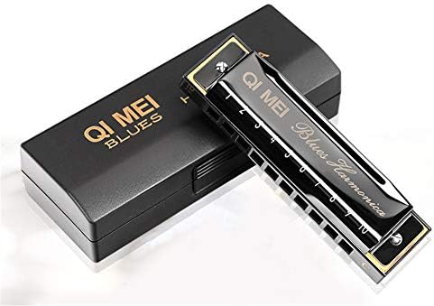 QIMEI Baby Boys Pink Toy 10 Hole Harmonica C polyphony Blues Harmonica (Black)