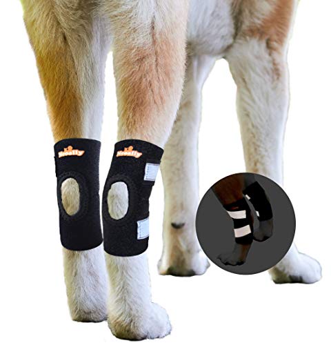 NeoAlly Dog Knee Brace NeoAlly Dog Knee Brace