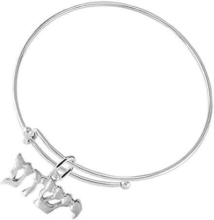 Yeshua (Jesus in Hebrew) Named By An Angel Of God, Adjustable, Hypoallergenic Bracelet, Safe-Nickel, Lead &amp; Cadmium Free!
