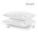 downluxe Set of 2 Down Alternative Bed Pillows Standard - Hotel Collection Plush Pillow Firm Density, 20x26