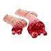 Halloween Haunters 5 Piece Fake Bloody Severed Human Body Parts Latex Prop Decoration - Scary Realistic Broken Exposed Bone Hands, Fingers, Arms, Legs & Feet - Zombie Haunted House Graveyard Cemetery