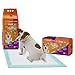 WizSmart Heavyweight Dog Pee Pads for Large Dogs, Puppies, Seniors – Ultra Absorbent, Leak Proof, Odor Control, Quick Dry, Training Pads with Stay Put Tabs – 23.5