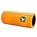 TriggerPoint Grid Foam Roller with Free Online Instructional Videos, Original (13-inch)