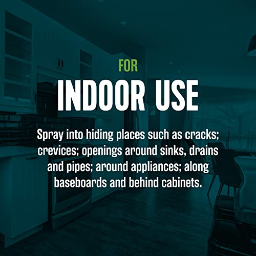 Ecologic Ant & Roach Killer, Indoor Defense, Also Kills Spiders