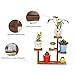 Exttlliy Wooden DIY Mini Tabletop Plant Stand Multi-Layer Concise Desktop Planter Holder for Home Office Decorative (Carbonized Color)thumb 3