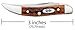Case WR XX Pocket Knife Pocket Worn Harvest Orange Small Texas Toothpick Item #7400 - (610096 SS) - Length Closed: 3 Inches