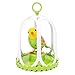 DigiBirds - Bird with Bird Cage - Green