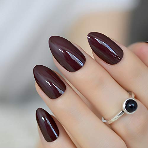 Amazoncom Coolnail False Nails Short Oval Sharp Solid