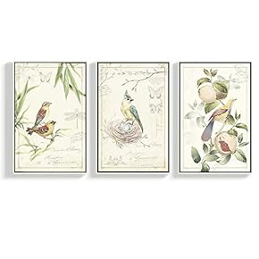 Framed Canvas Wall Art for Living Room, Bedroom Bird Illustration III Canvas Prints for Home Decoration Ready to Hang - 16"x24"x3 Panels