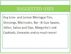 100% Authentic Key Lime Juice 16 Oz