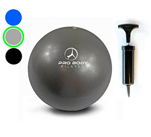 Mini Exercise ball Premium 9-Inch Stability Ball for Pilates, Yoga, Barre, Training and Physical Therapy (Silver (Pump))