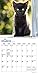 Black Kittens 2020 7 x 7 Inch Monthly Mini Wall Calendar, Animals Cats Kittens