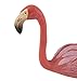 Safari Ltd. Wings of The World – Flamingo – Realistic Hand Painted Toy Figurine Model – Quality Construction from Safe and BPA Free Materials – for Ages 3 and Up