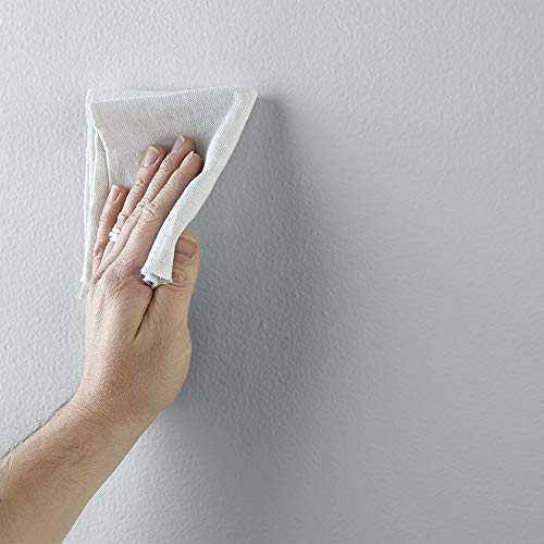 The Spruce Best Home by KILZ Interior Paint & Primer in One, Gravity