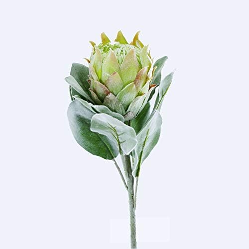 MARJON FlowersArtificial Protea Barbighera Green