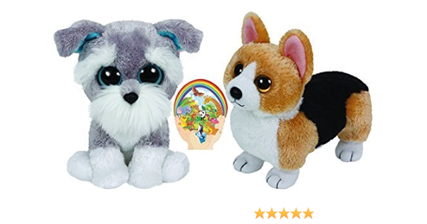 schnauzer beanie boo