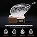Storm Glass Weather Stations Water Drop Weather Predictor Creative Forecast Nordic Style Decorative Weather Glass