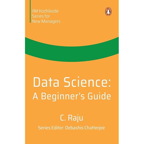 An Introduction to Data Science: Saltz, Jeffrey S., Stanton