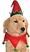 Rubies Elf Pet Hat and Collar for Dogs or Cats, S/M