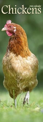 Download Chickens Slim Calendar 2020 PDF