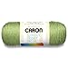 Caron Simply Soft Collection Yarn, 6oz, Gauge 4 Medium, 100% Acrylic- Pistachio - Machine Wash & Dry