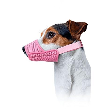 Groom Professional Gepolsterte Air Mesh Maulkorb, klein, Baby Pink