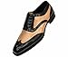 Bolano Lawson, Wingtip Oxford Dress Shoes for Men, Two-Tone & Shiny Metallic Oxfords, Men's Formal Tuxedo Shoes (Gold/10)