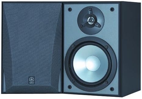 2 way bookshelf speakers
