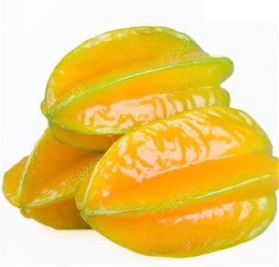30pcs Commestibile Carambola Bonsai Stella Frutto Raro Sementes Averrhoa Carambola Albero Giardino Bonsai Pots Woody Piante Trasporto Libero 8 Amazon It Casa E Cucina